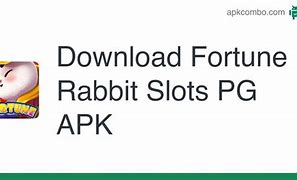 Aplikasi Slot 77 Rabbit